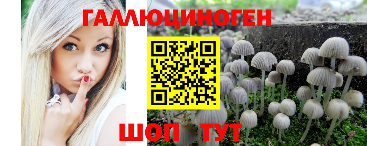 Псилоцибиновые грибы Psilocybine cubensis Шали